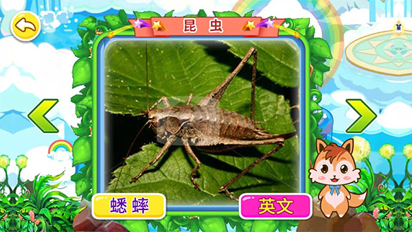 宝宝儿童动物世界游戏图1