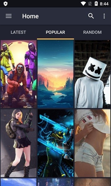 Hdqwalls app图2