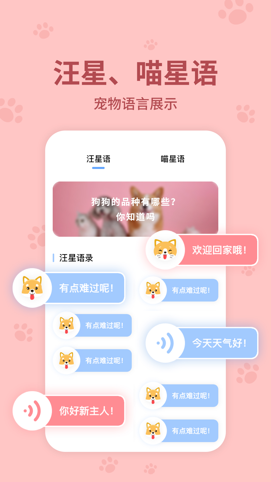 动物翻译器app图3