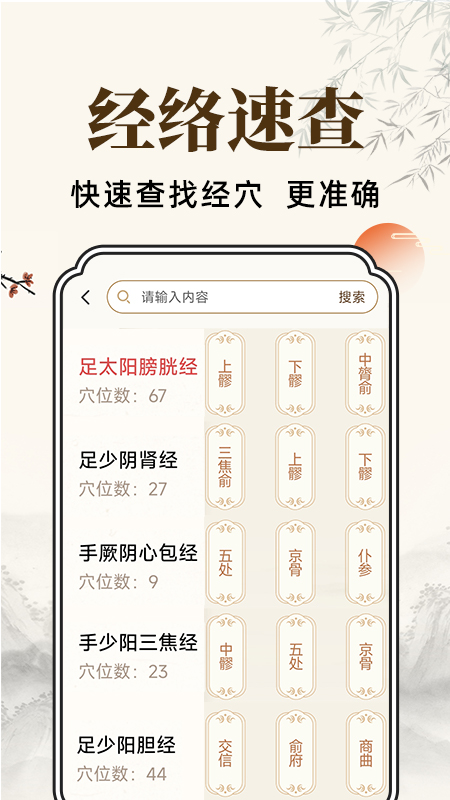 穴位经脉详解手机版图1
