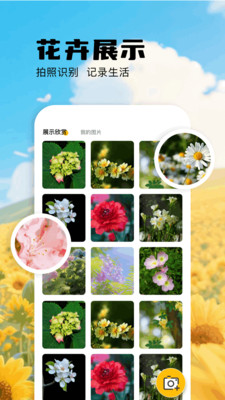 扫描识万物app图4