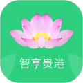 智享贵港手机版图标