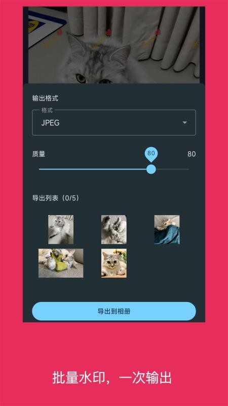 简单水印照片app