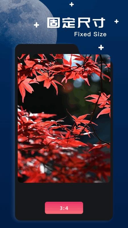 amaze文件管理器app图1