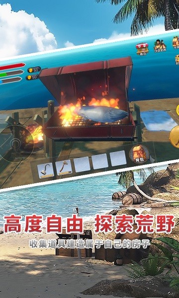 海贼世纪大冒险游戏图1