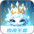 皮皮王者app图标