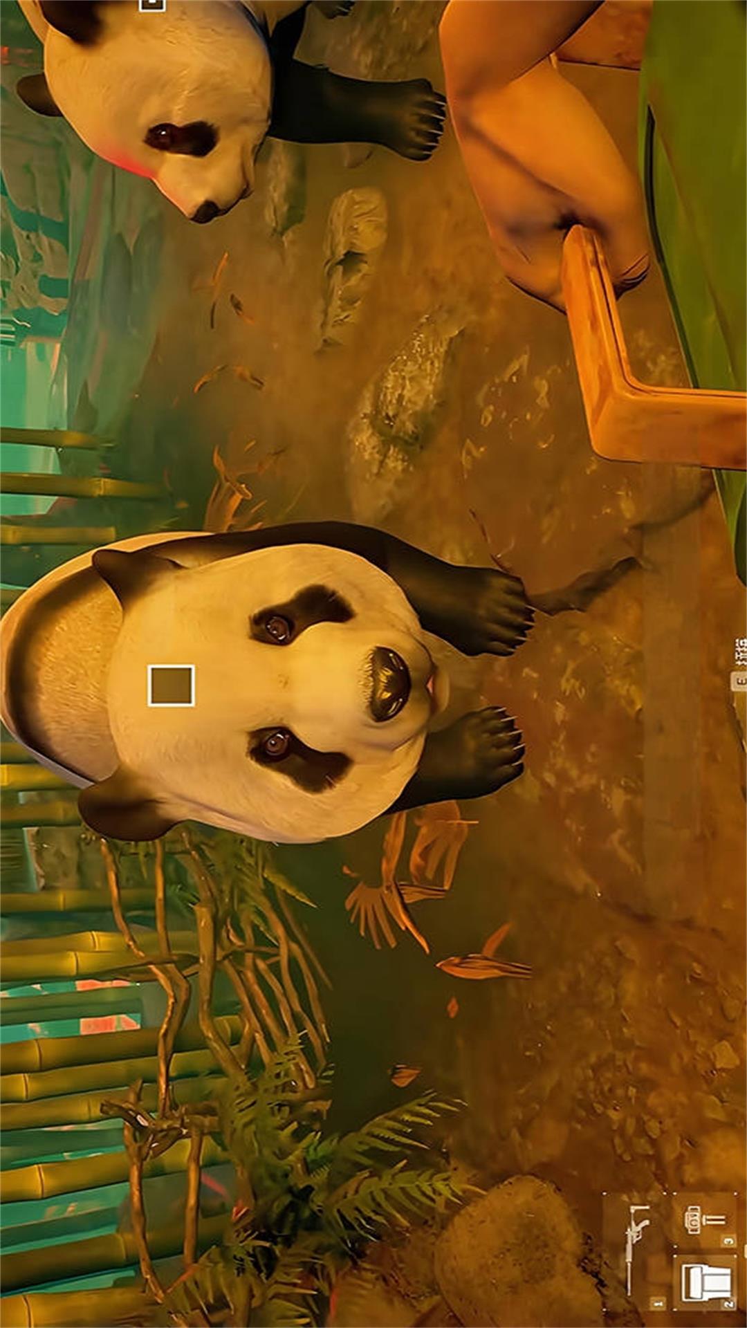 会说话的熊猫宝宝游戏图1