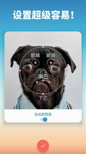 我的宠物会说话app图3