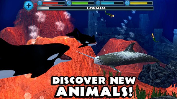 座头鲸模拟器（The Humpback Whales）图3