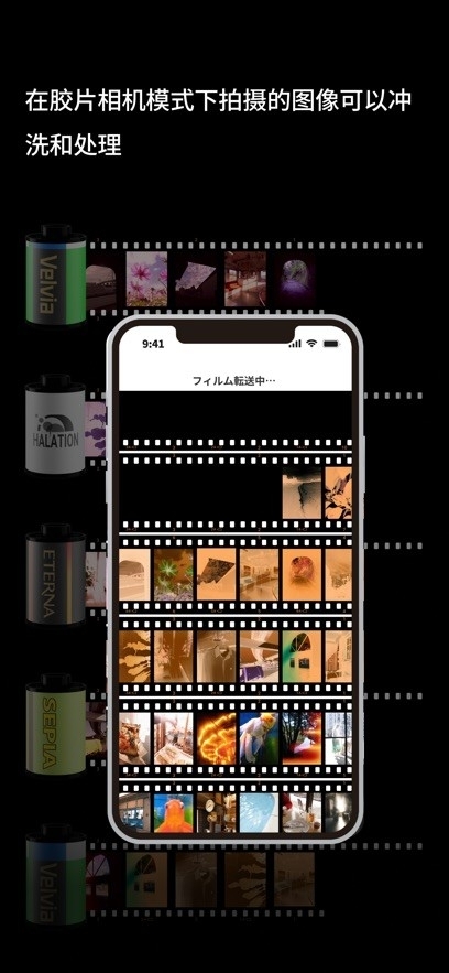 X half官网版图2