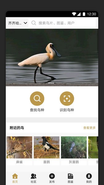 识鸟家app图2