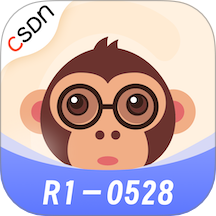 CSDN官网版图标