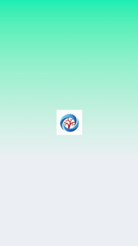 RDsolve软件图1