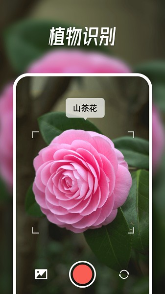 智能识别大师app图2