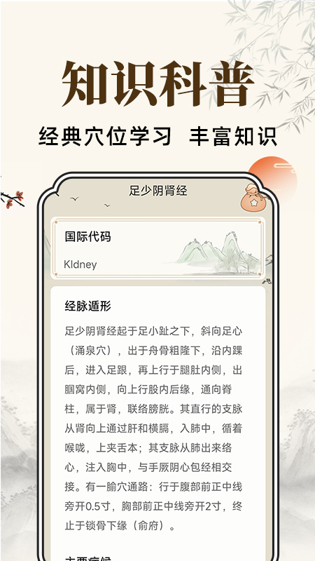 穴位经脉详解手机版图2