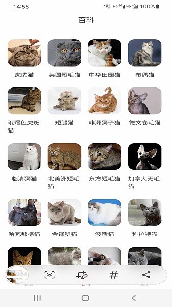 小猫先生软件图1