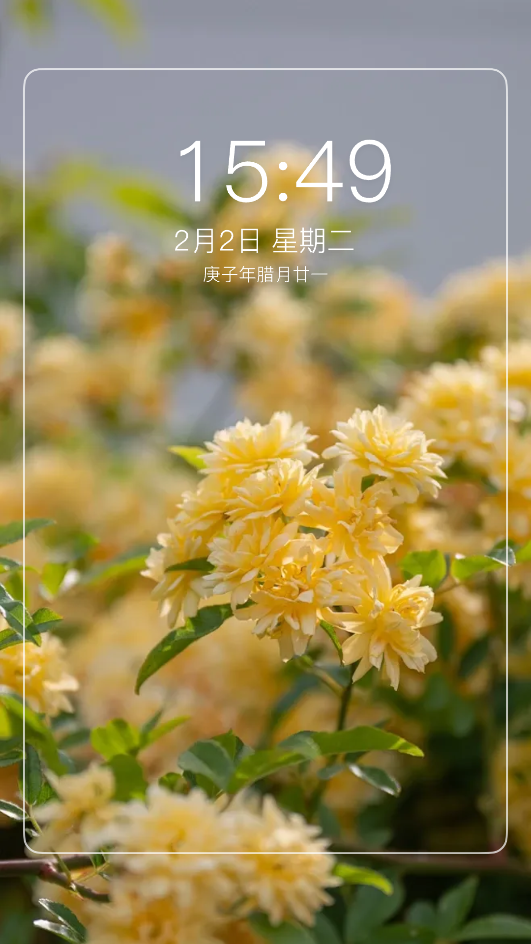 最美主题软件图3