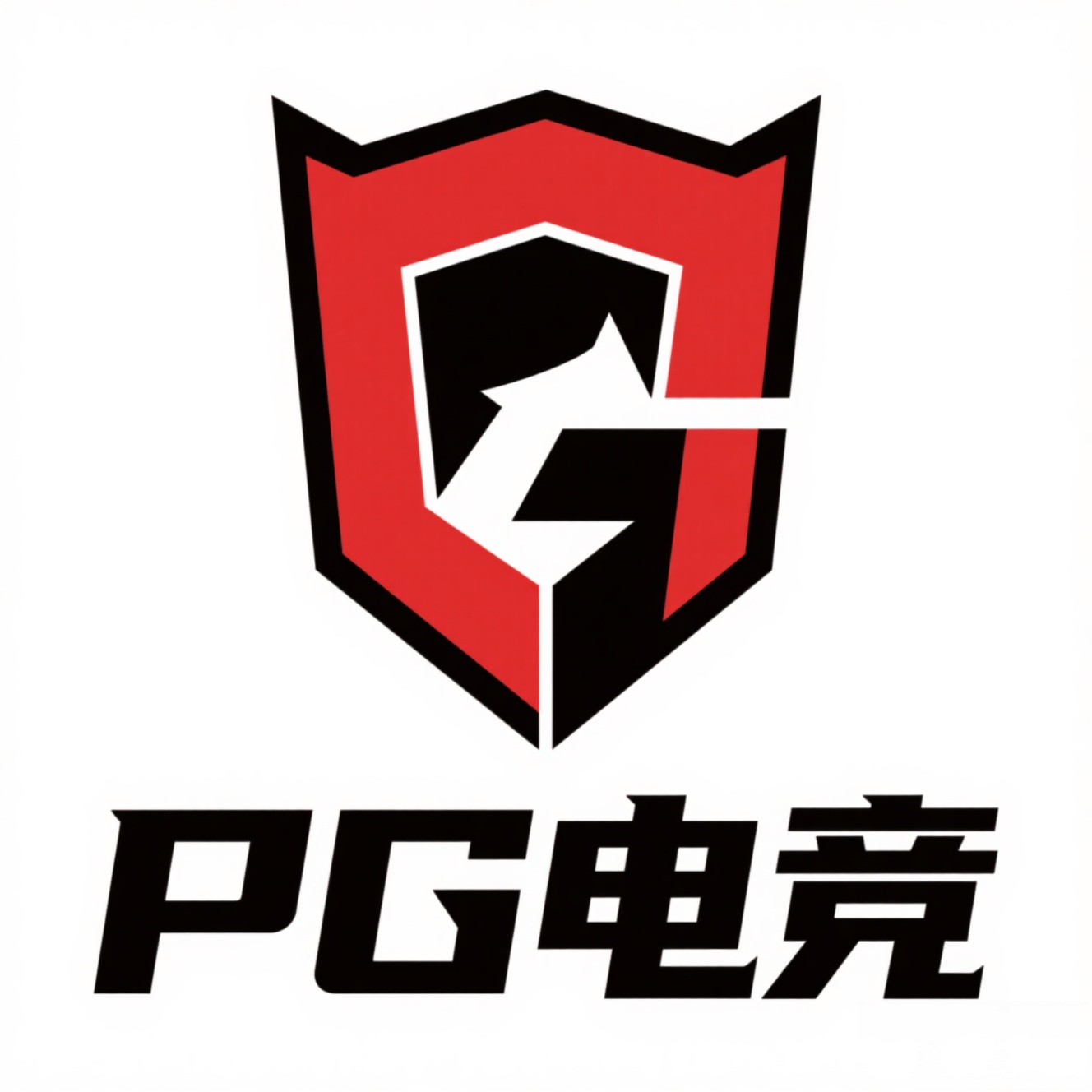 PG电竞助手app图标