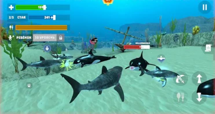 Shark Fish Simulator最新版图3