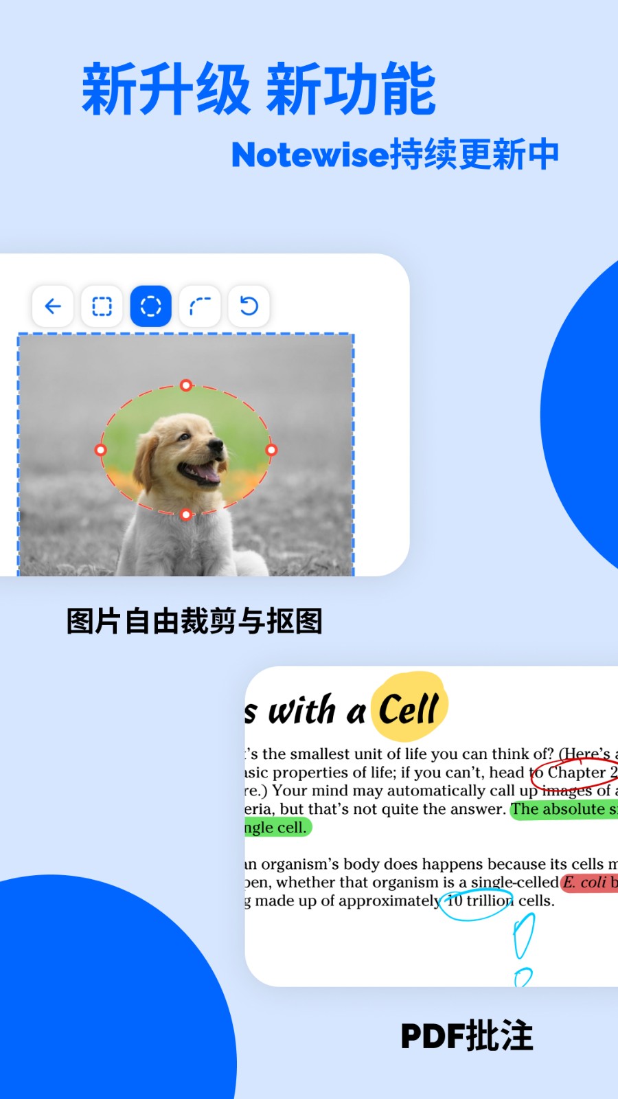 Notewise软件