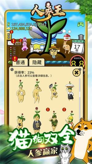 GINSENG游戏图2