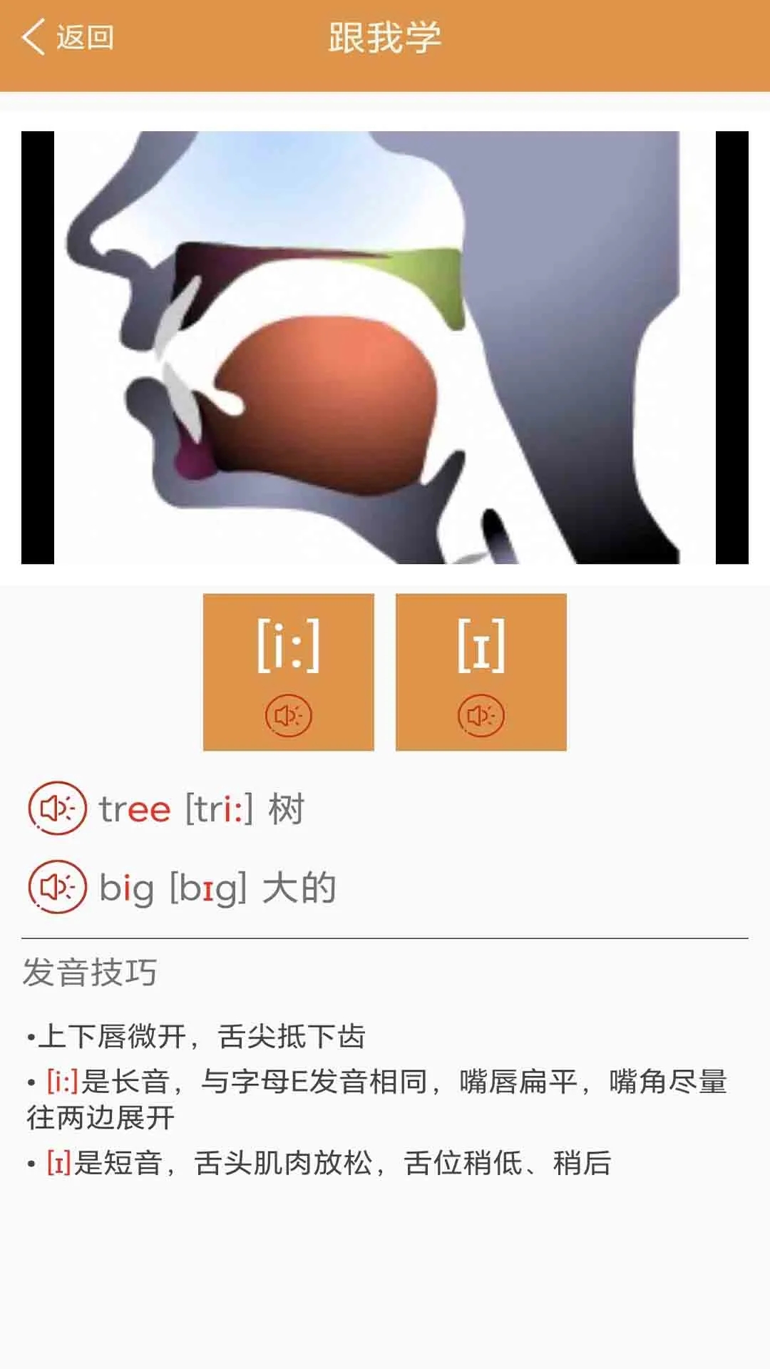 大猫英语国际音标最新版图1