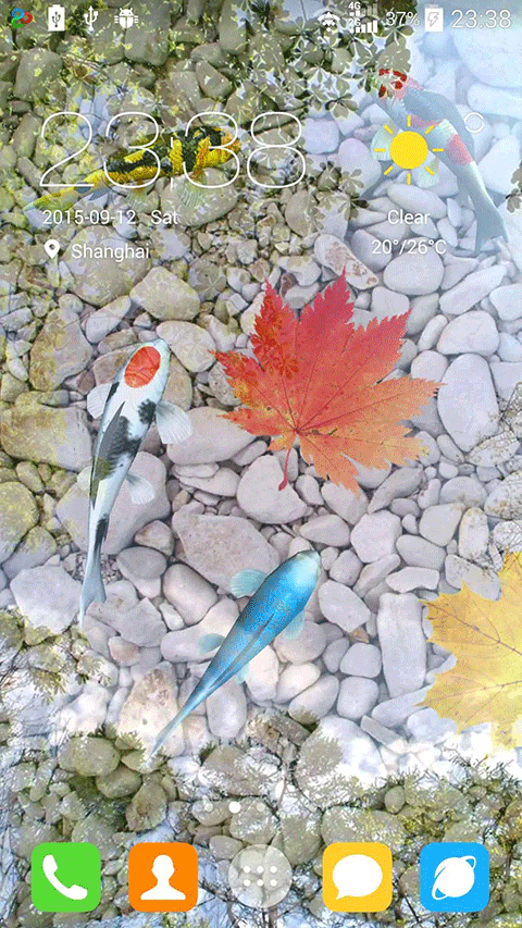 鱼池app