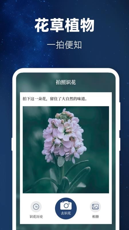 验钞工具Pro标准手电筒app