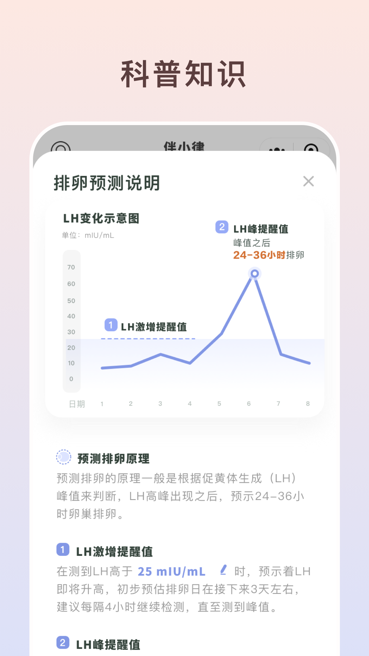 伴小律app图2