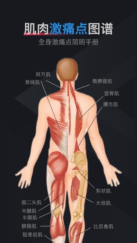 肌肉激痛点图谱app图1