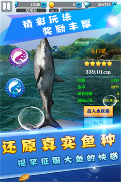 天天爱钓鱼游戏