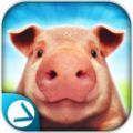 PigSimulator图标
