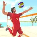 排球3D离线模拟（Volley Ball Project）图标