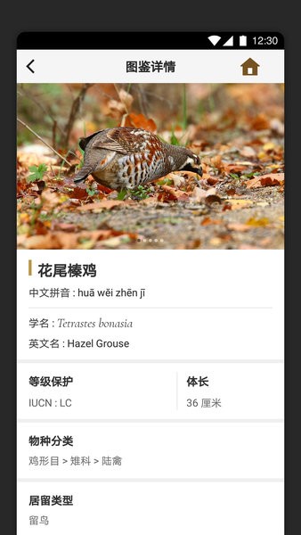 识鸟家app图1