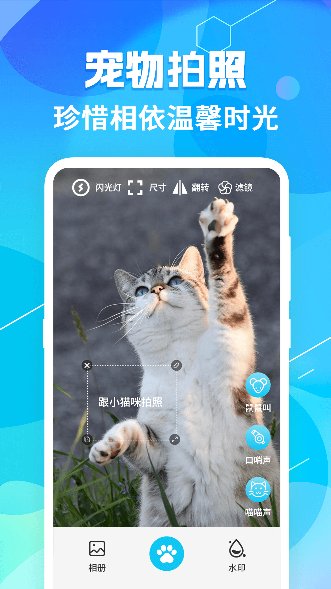 猫语翻译pet软件图1