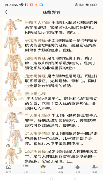 穴位图谱大全app图3