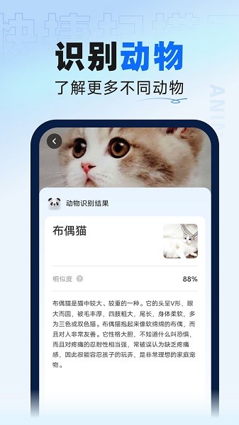 迅捷扫描大师软件图2