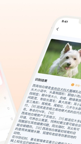 口袋识别app图2