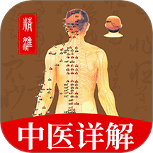 穴位经脉详解手机版图标