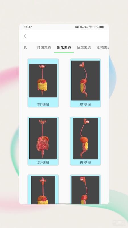 解剖图谱app图3