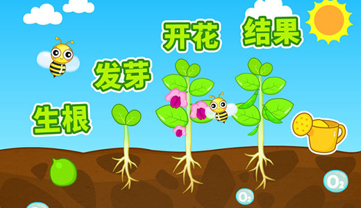 宝宝爱自然游戏图2