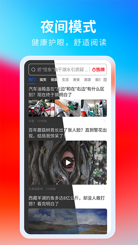 飞觅浏览器app图2