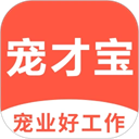 宠才宝安卓版图标
