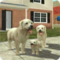 Dog Sim游戏图标