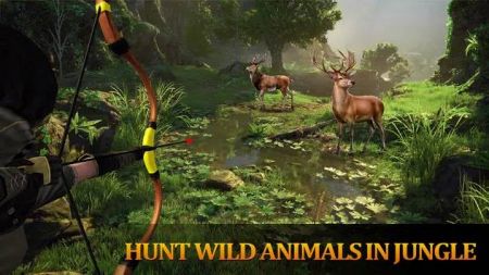 Bow Arrow Deer Hunt Simulator Virtual Hunter Game游戏