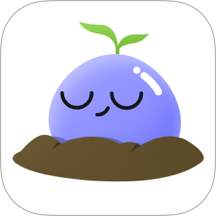 莫听app图标