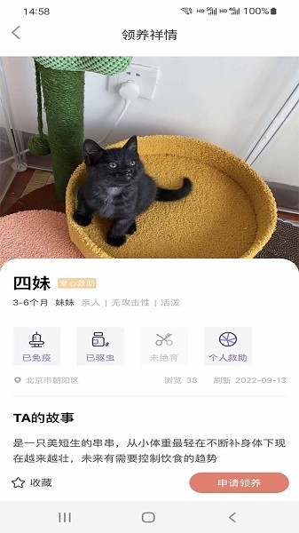 小猫先生软件图2