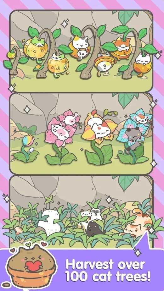 我的猫咪盆栽游戏图2