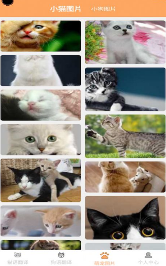 喜晟猫狗翻译软件