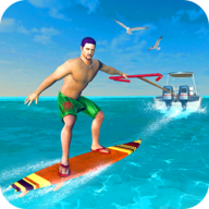 Virtual Surfer Game图标